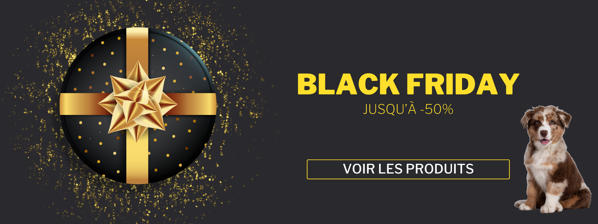 Slider Promo Black Friday